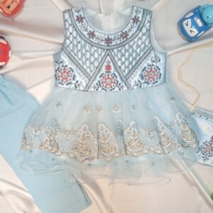 Fancy Net Frock with Pouch for Girls