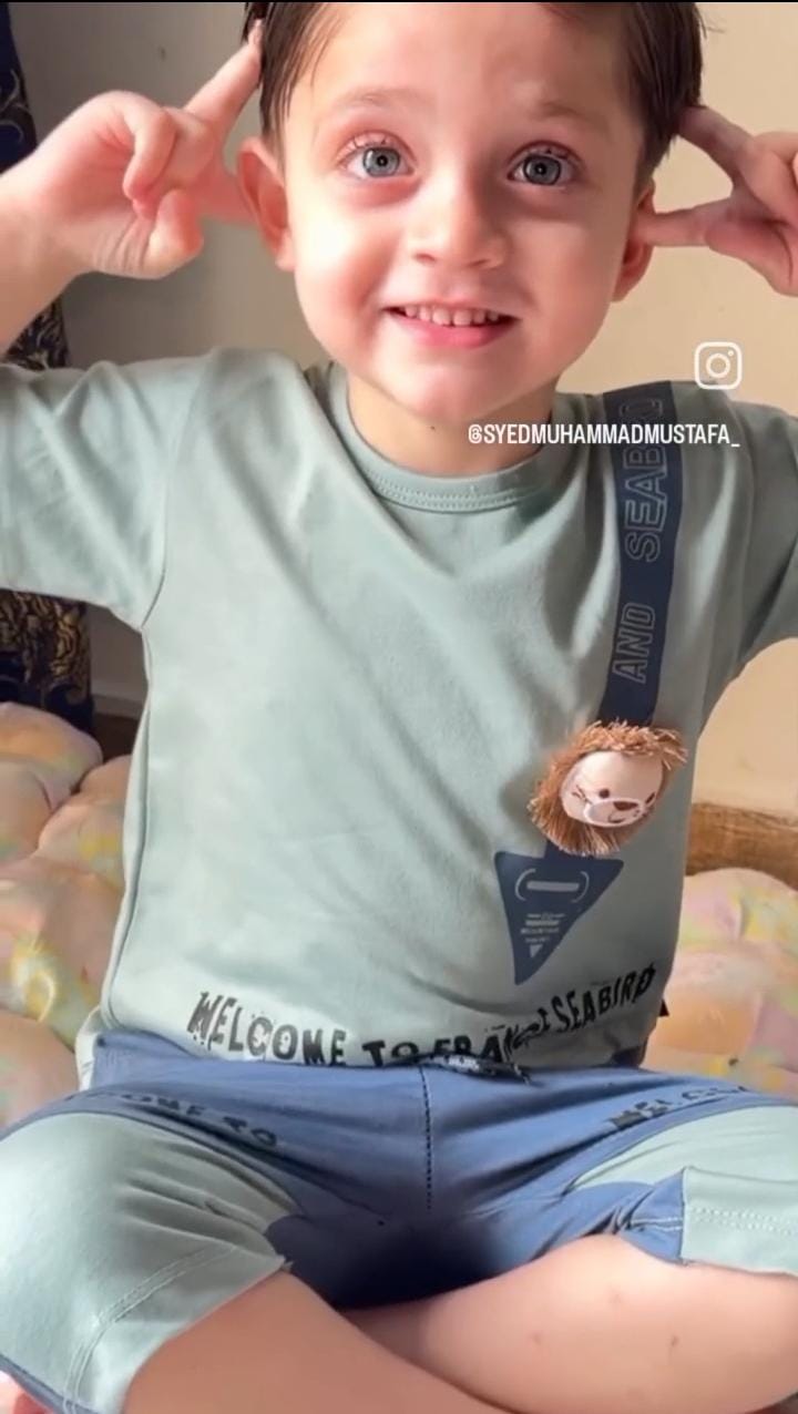 Little Lion Boys Summer Shirt & Shorts