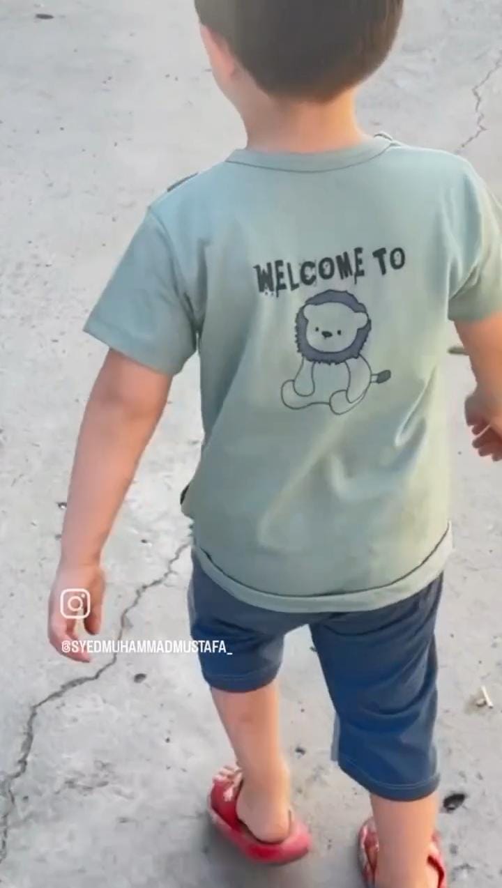 Little Lion Boys Summer Shirt & Shorts
